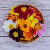 Mix-flores-comestibles-3