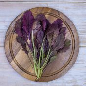 Mostaza morada 1